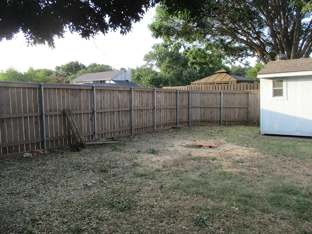 Cleared yard after professional tree removal in Grassy Creek